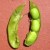 Soybean